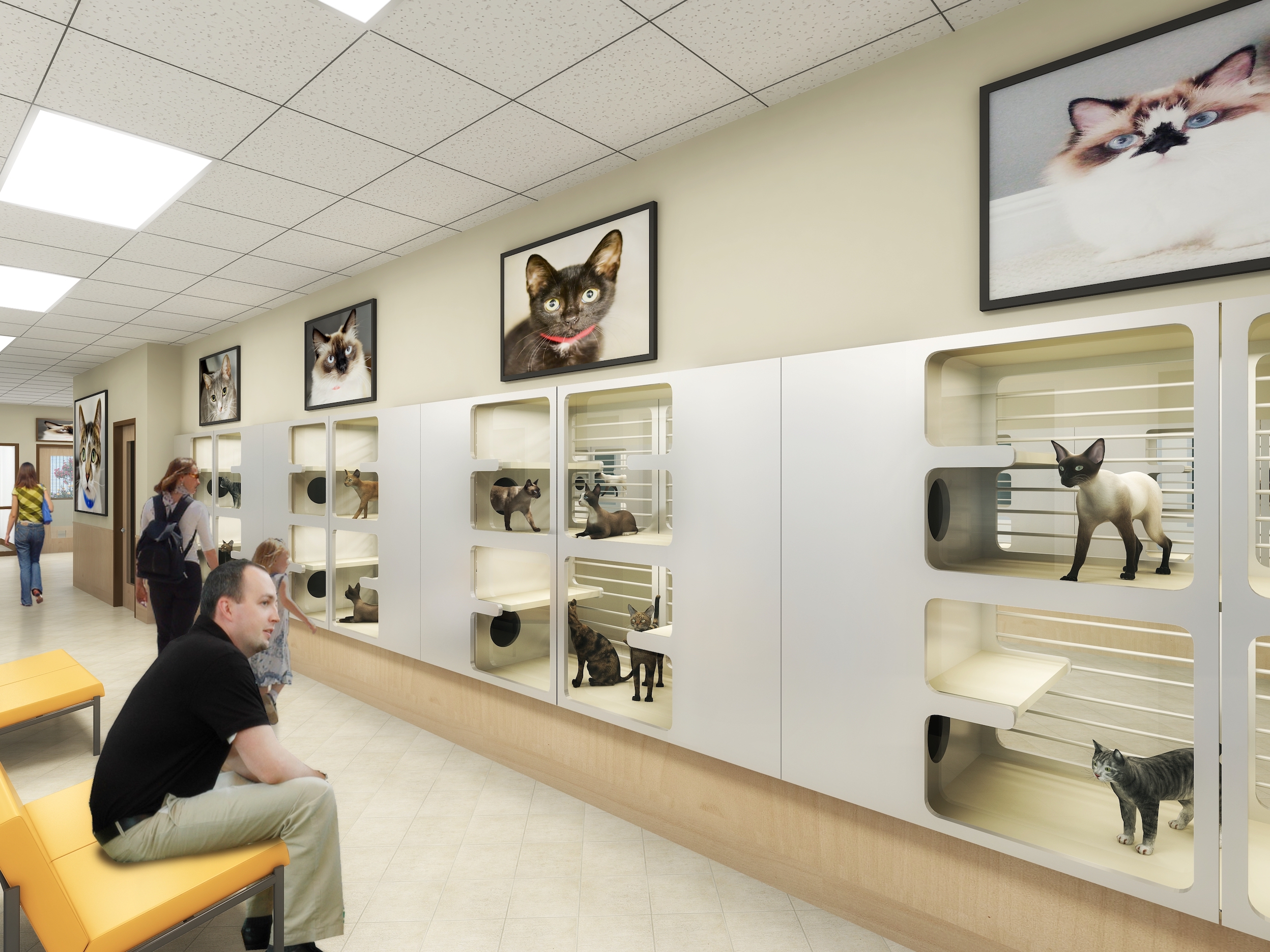 Peggy Adams Animal Rescue League interior cat condos