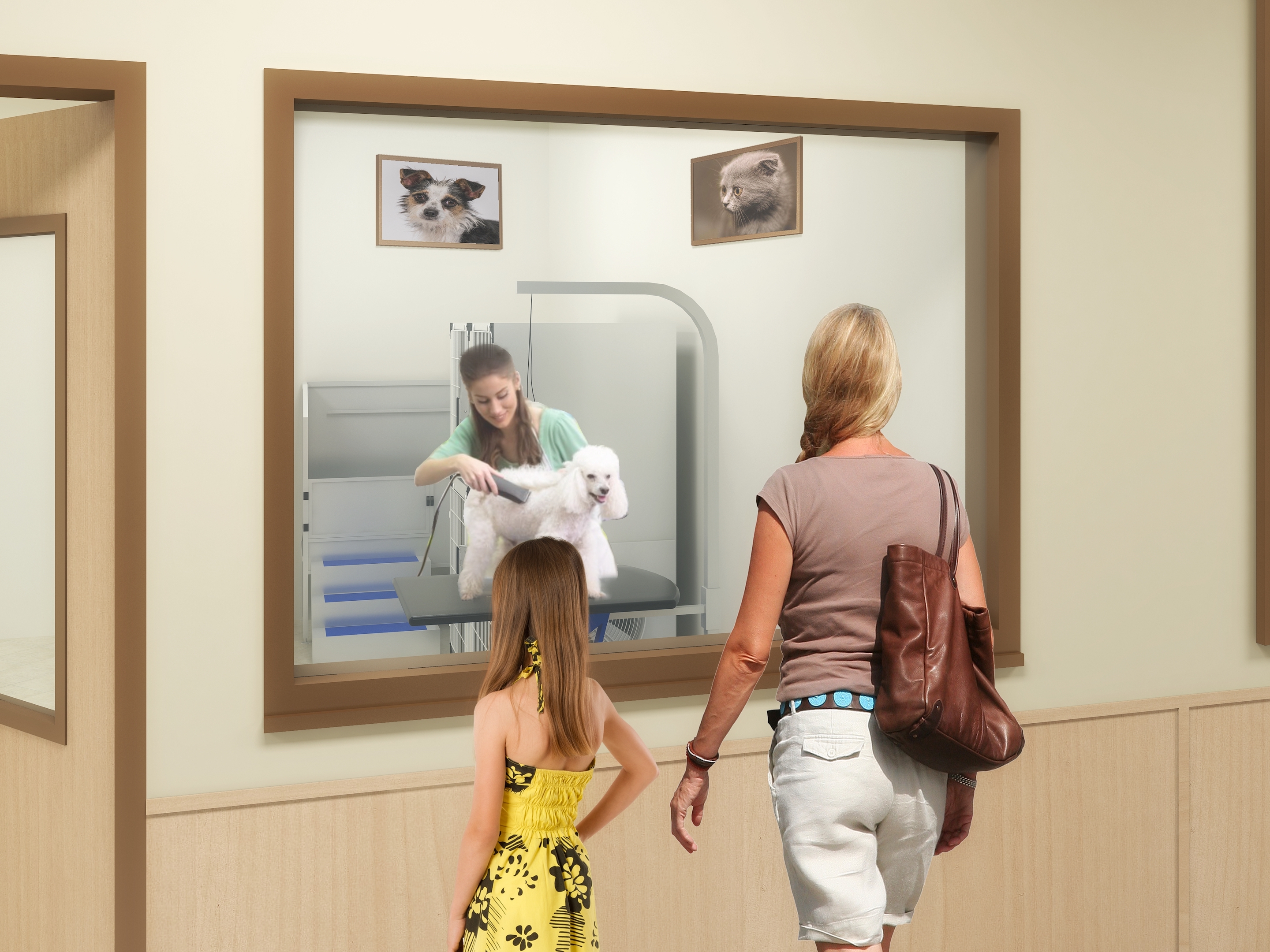 Peggy Adams Animal Rescue League interior grooming room