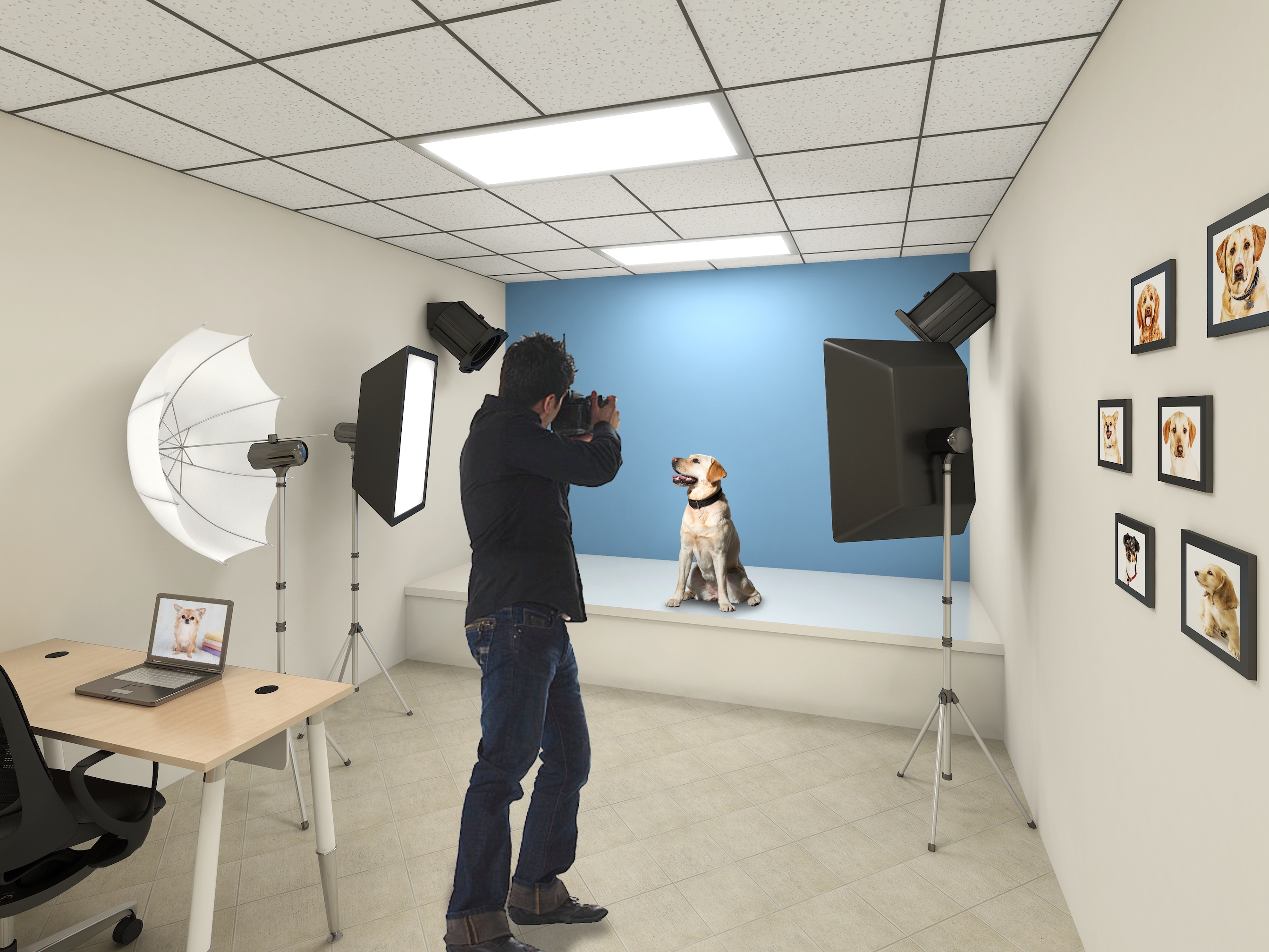 Peggy Adams Animal Rescue League interior photo room